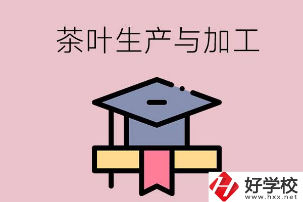 湖南哪些技校開設(shè)了茶葉生產(chǎn)與加工專業(yè)？