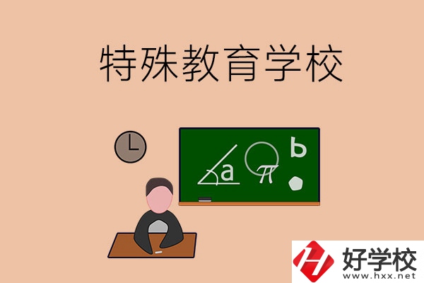 湖南省有哪些特殊教育學(xué)校？