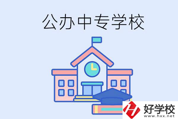 湘西一共有多少所公辦的中專學(xué)校？