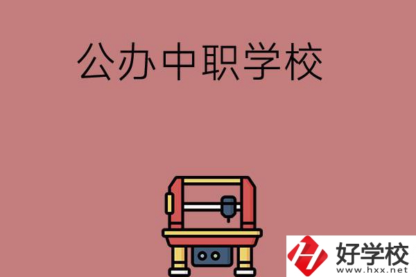 長沙可以學計算機應用專業(yè)的公辦中職學校有哪些？