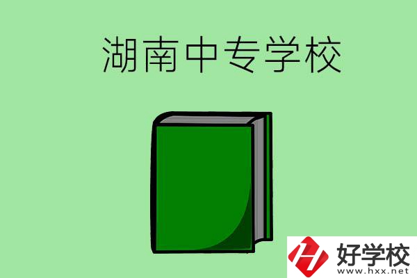 湖南的中專學(xué)校有哪些？都開(kāi)設(shè)了哪些專業(yè)？