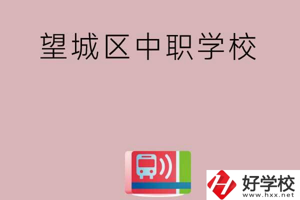 長沙望城區(qū)有哪些中職學校？