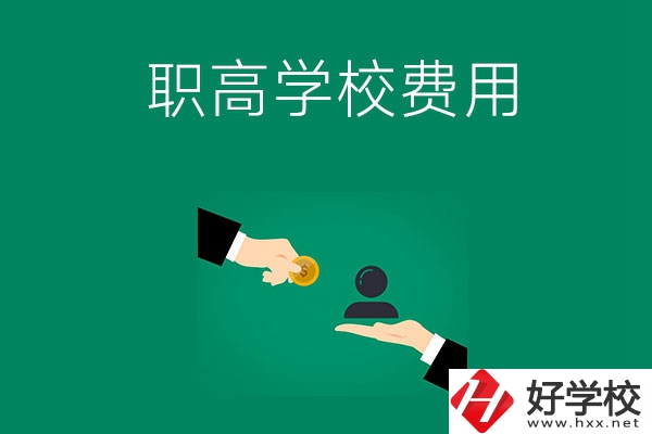 上懷化的公立職高學(xué)校要多少費(fèi)用？