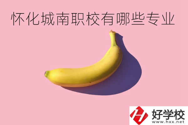 懷化城南職業(yè)學(xué)校有哪些專業(yè)？學(xué)校好不好？