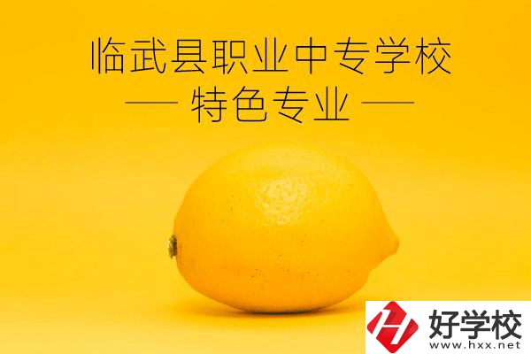 臨武縣職業(yè)中專學校好嗎？有哪些特色專業(yè)？