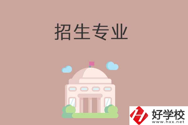 益陽(yáng)有哪些高職院校設(shè)立了中職部？招生專業(yè)有哪些？