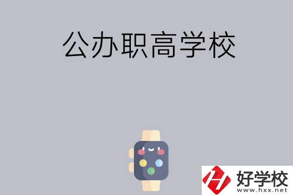 長(zhǎng)沙哪些公辦職高學(xué)校比較有特色？