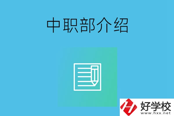 湘潭院校中職部介紹，這幾所學(xué)校你知道嗎？