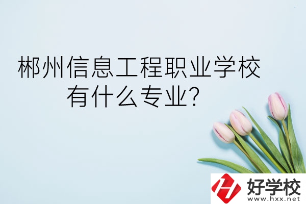 郴州信息工程職業(yè)學(xué)校有什么專業(yè)？