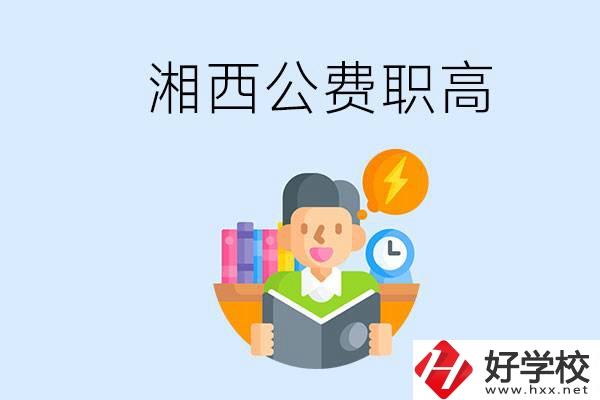 湘西公費(fèi)的職高學(xué)校有幾所？還有其它什么費(fèi)用？