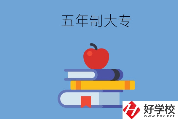 長(zhǎng)沙開(kāi)設(shè)教育類(lèi)專(zhuān)業(yè)的五年制大專(zhuān)有哪些？