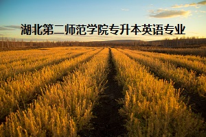 湖北第二師范學(xué)院專升本英語專業(yè)