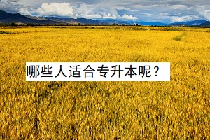 哪些人適合專升本呢？