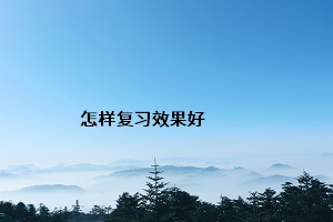 怎樣復習效果好