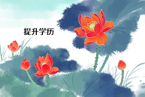 提升學(xué)歷