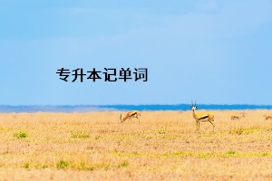 專升本記單詞