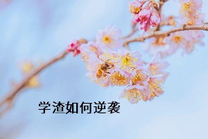 學(xué)渣如何逆襲