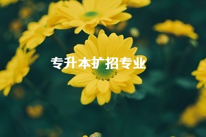 今年普通專升本擴(kuò)招專業(yè)有哪些？預(yù)計(jì)哪些專業(yè)將成熱門專業(yè)？