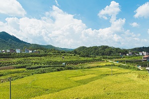 畢業(yè)證書的區(qū)別