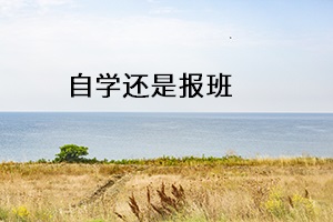 自學還是報班