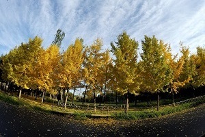 大專第三年才開始準備普通專升本考試來得及嗎？該如何備考？