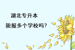 湖北專升本能報多個學(xué)習(xí)嗎？