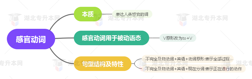 普通專升本英語要掌握多少種語法？25張思維導(dǎo)圖教會你！